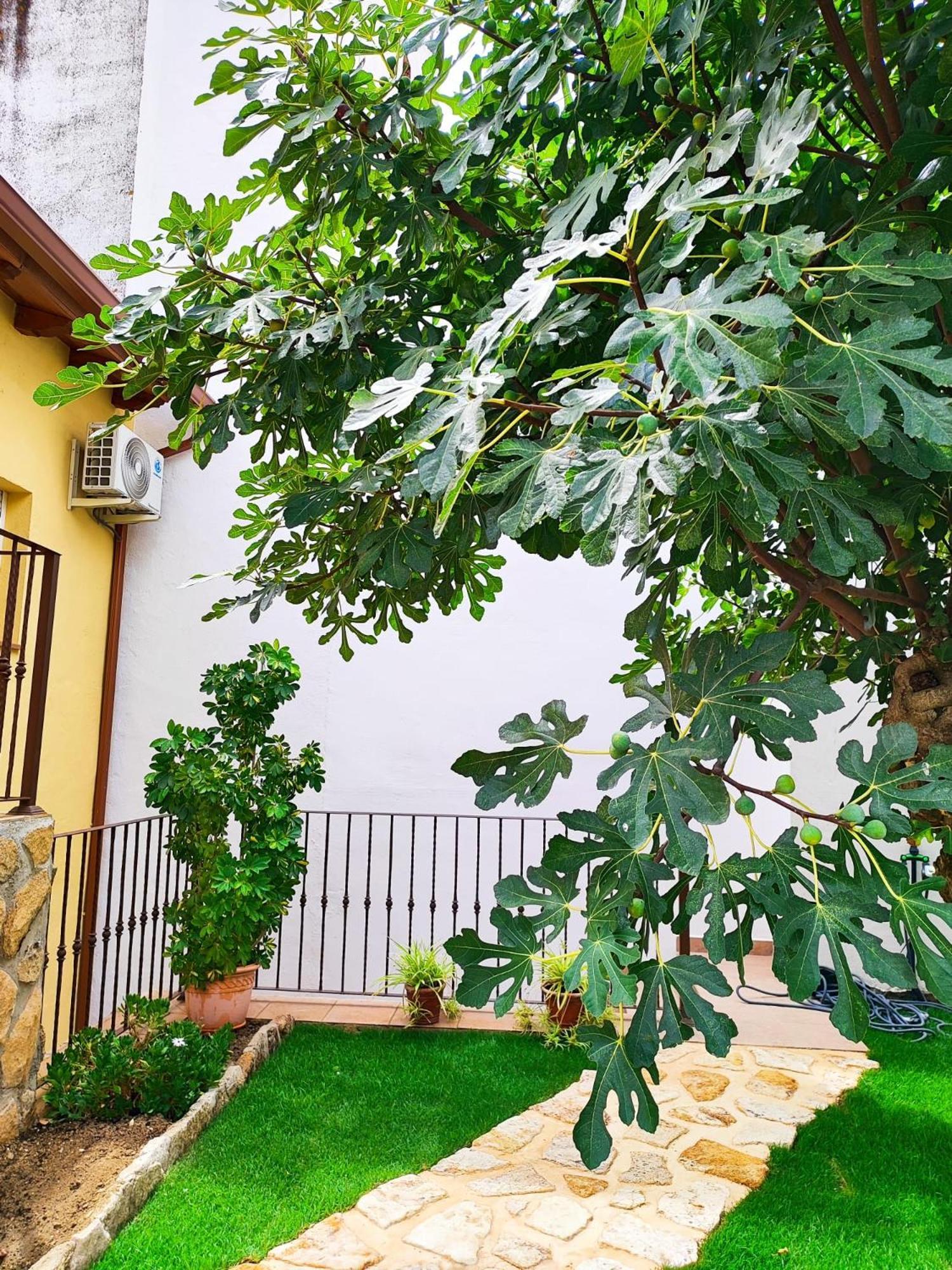 Vila La Casita De Ra Castillo de Bayuela Exteriér fotografie
